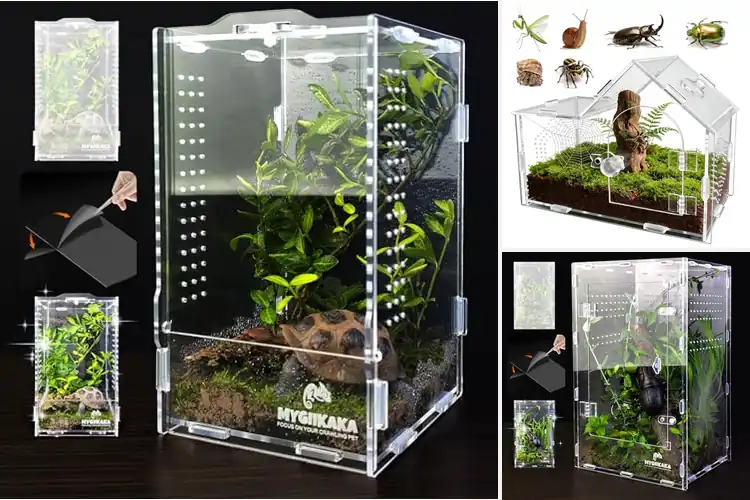 Detailed view of Best Acrylic Terrariums