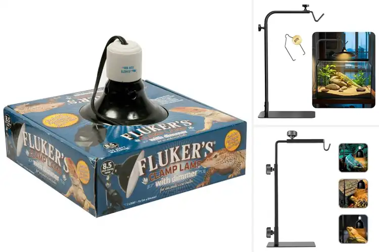 Detailed view of Best Adjustable Basking Lamps