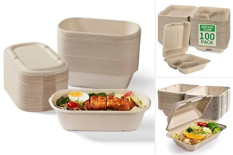 Detailed view of Best Eco Containers for Fresh, Planet-Friendly Meals