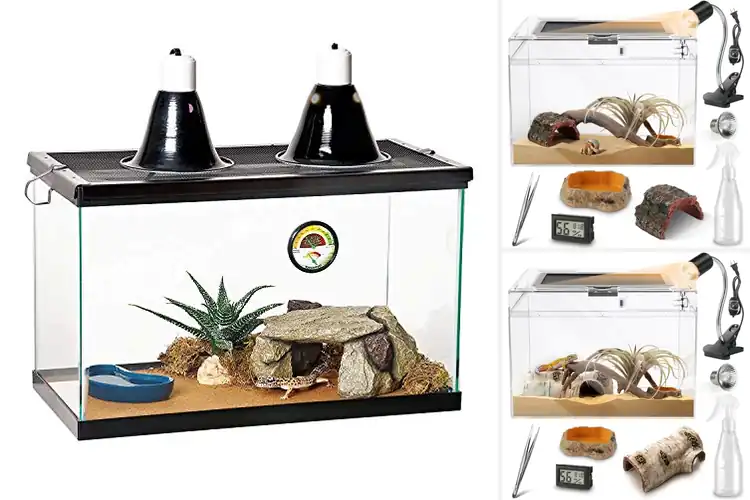 Detailed view of Best Reptile Starter Kits: Top 10 Easy Setups for Beginners
