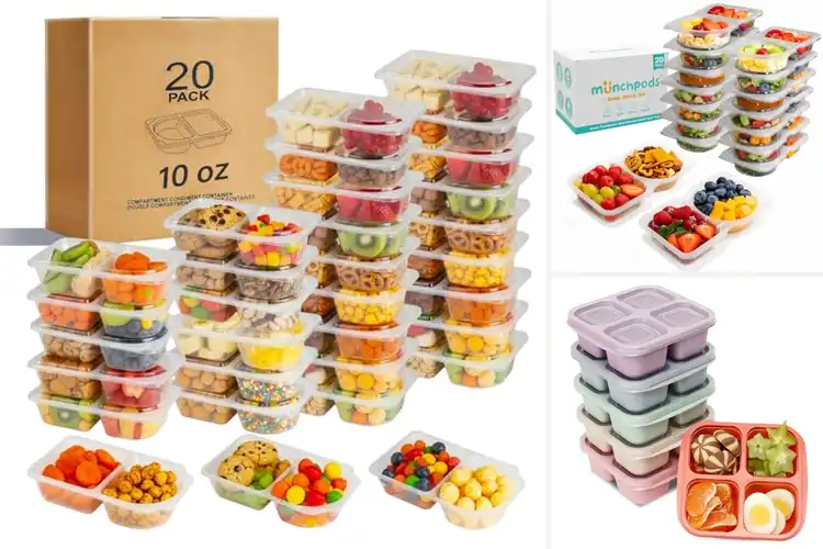 Detailed view of Best Snack Containers for Fresh On-the-Go Meals
